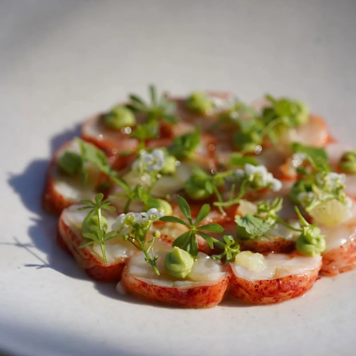 Image alt description