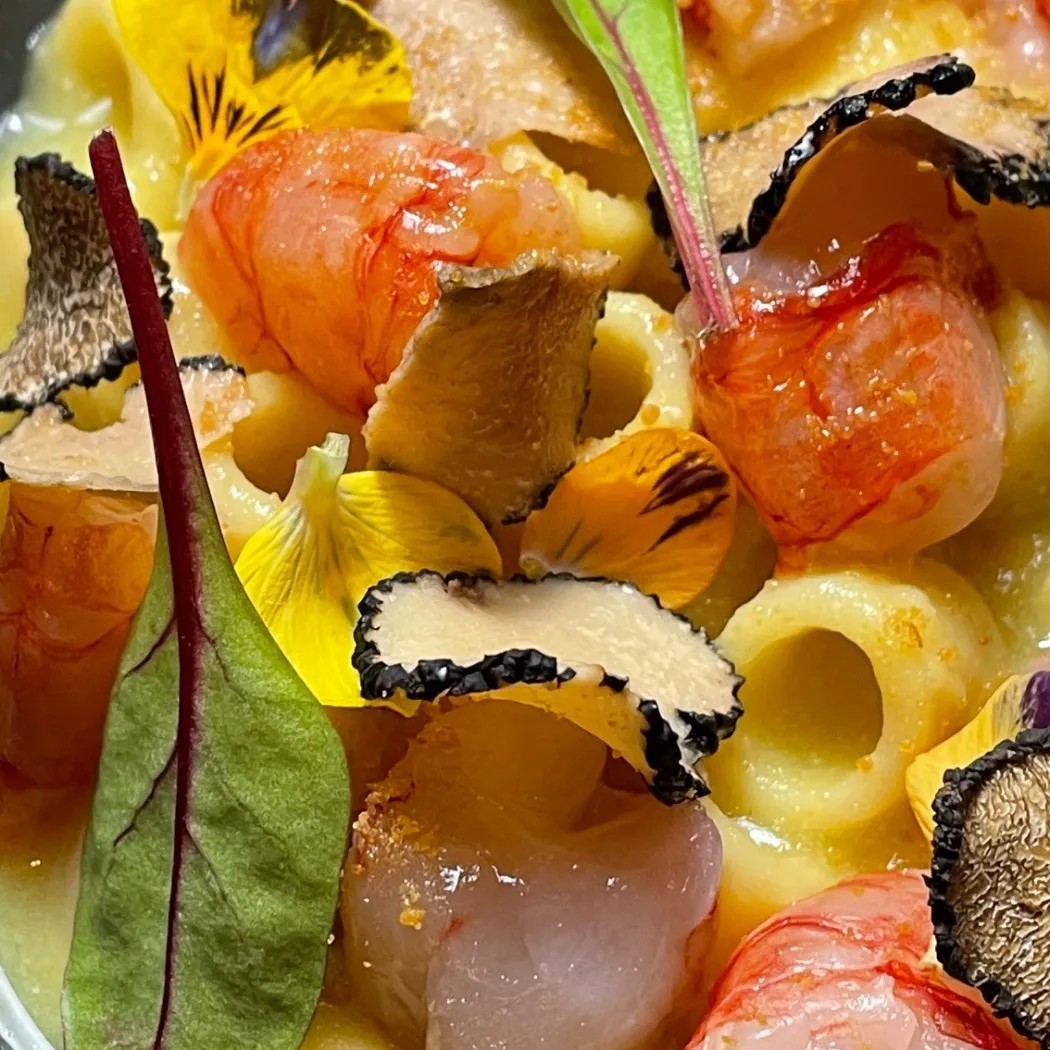 Image alt description