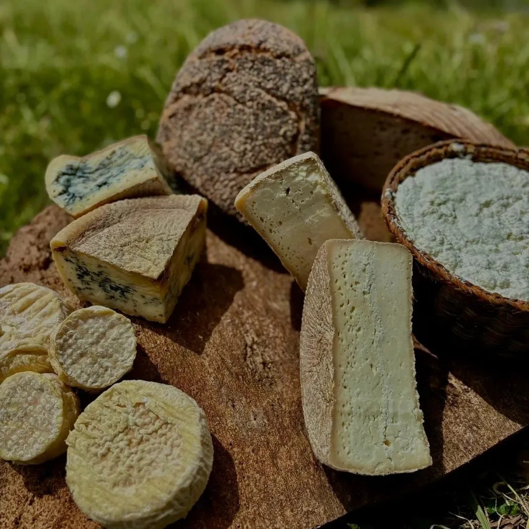 Image alt description