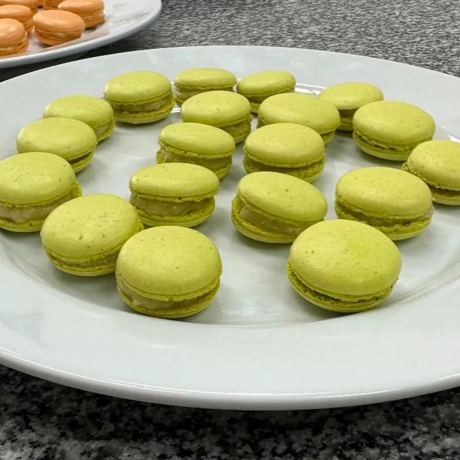 Image alt description