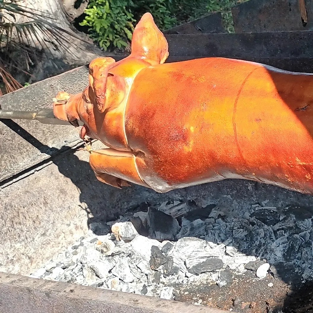 Image alt description