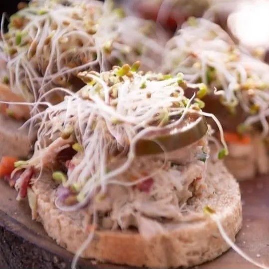 Image alt description