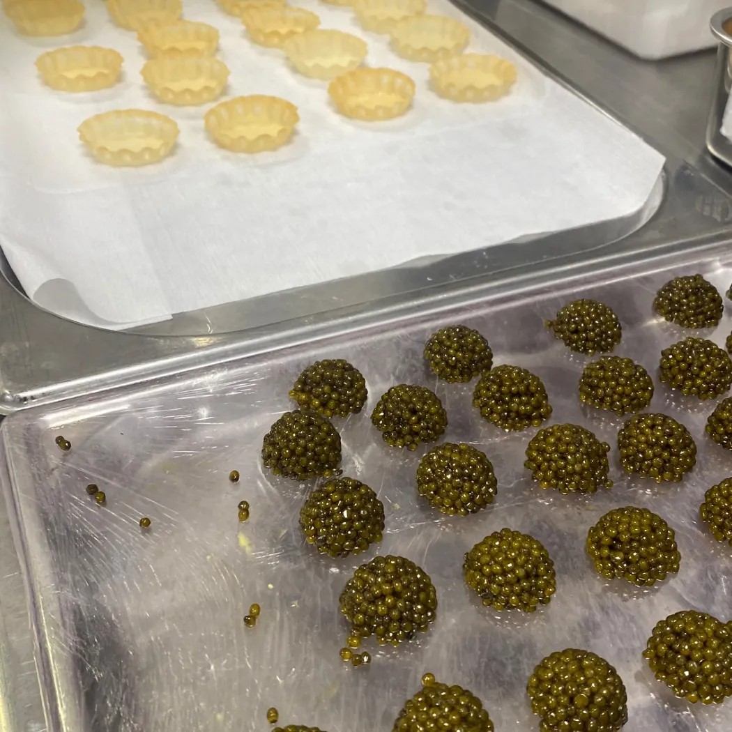 Image alt description