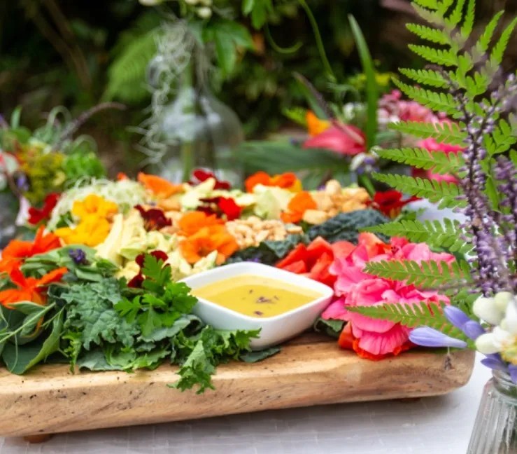 Image alt description