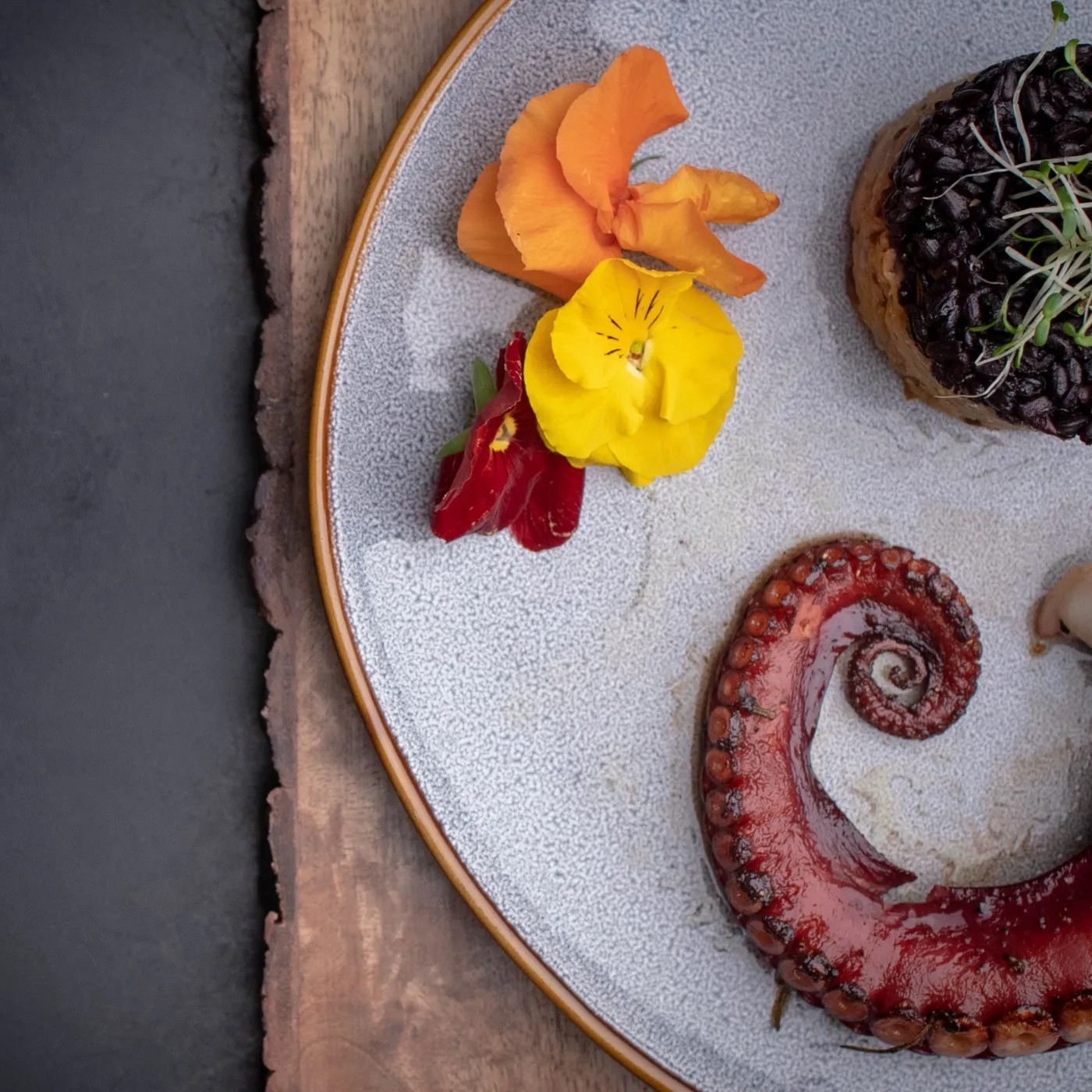 Image alt description