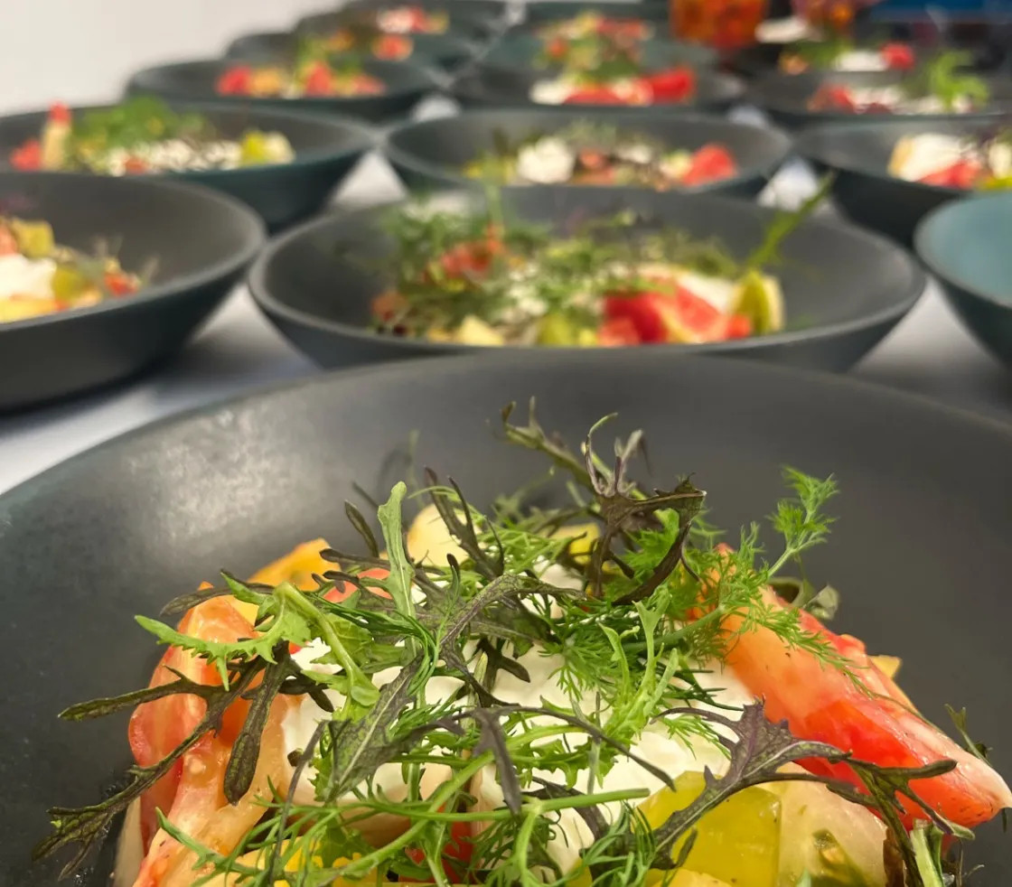 Image alt description