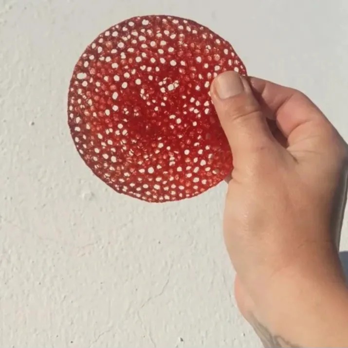 Image alt description