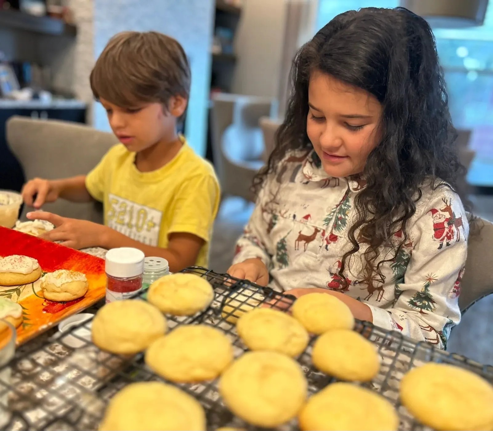 Image alt description