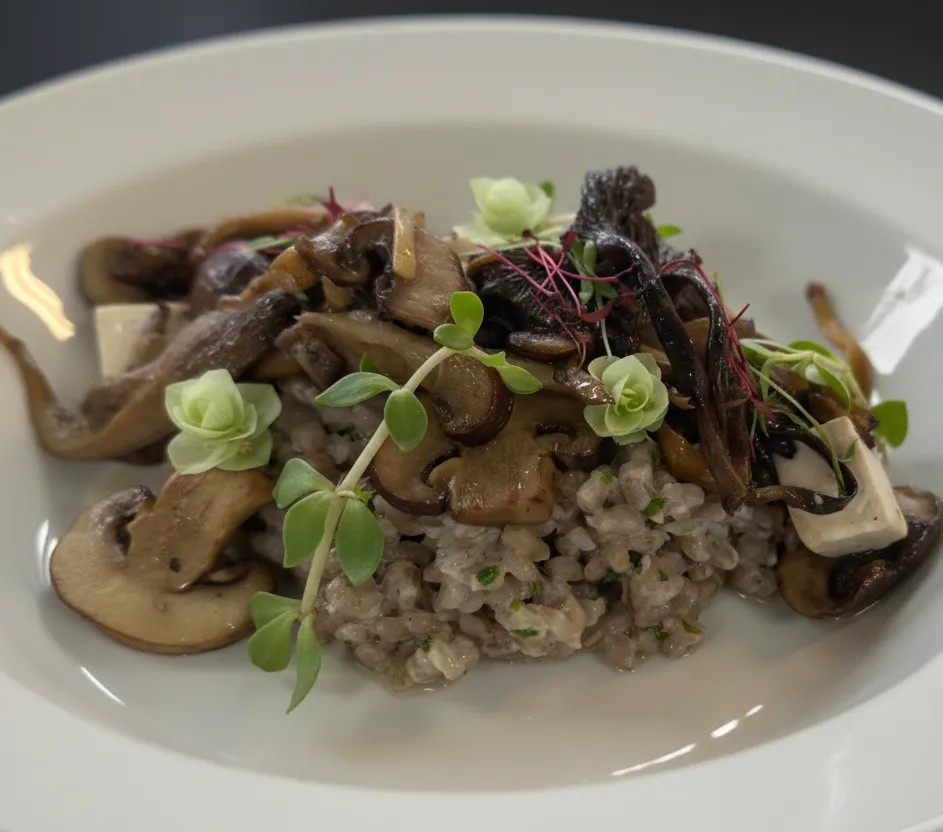 Image alt description