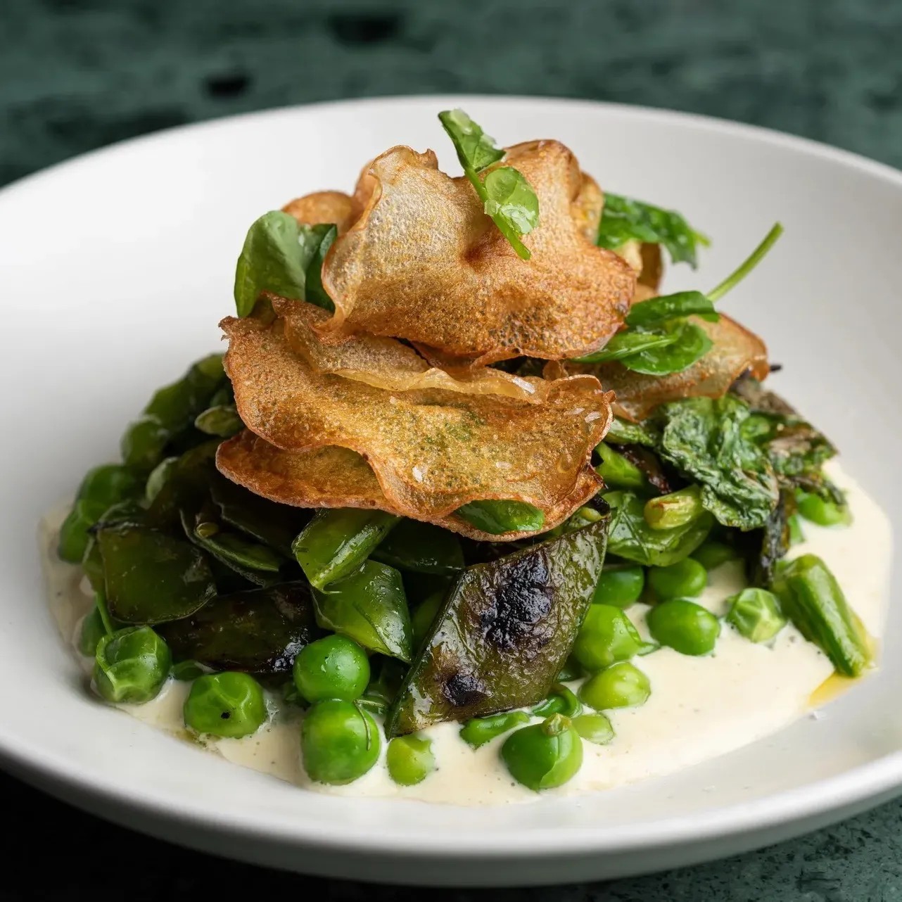 Image alt description