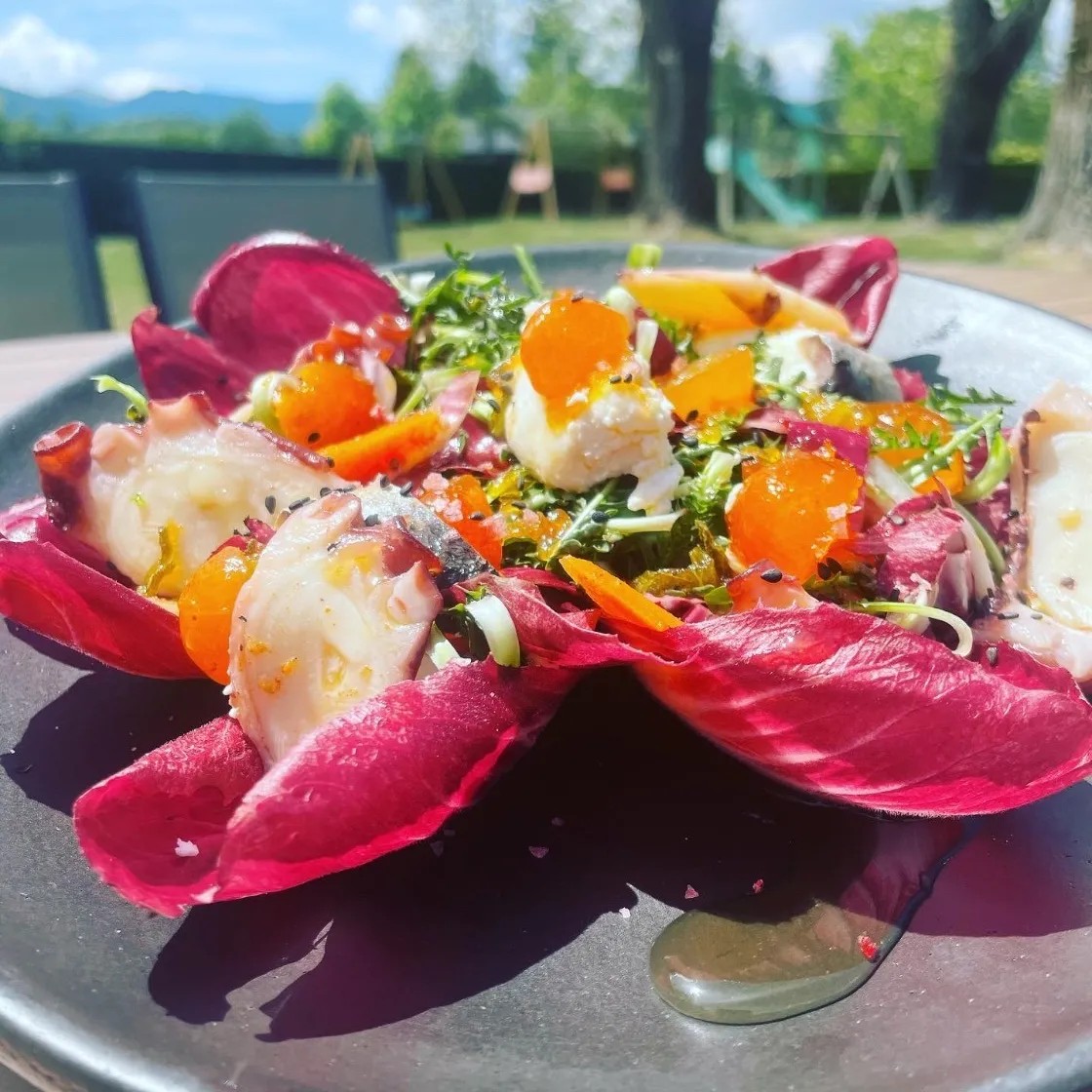 Image alt description