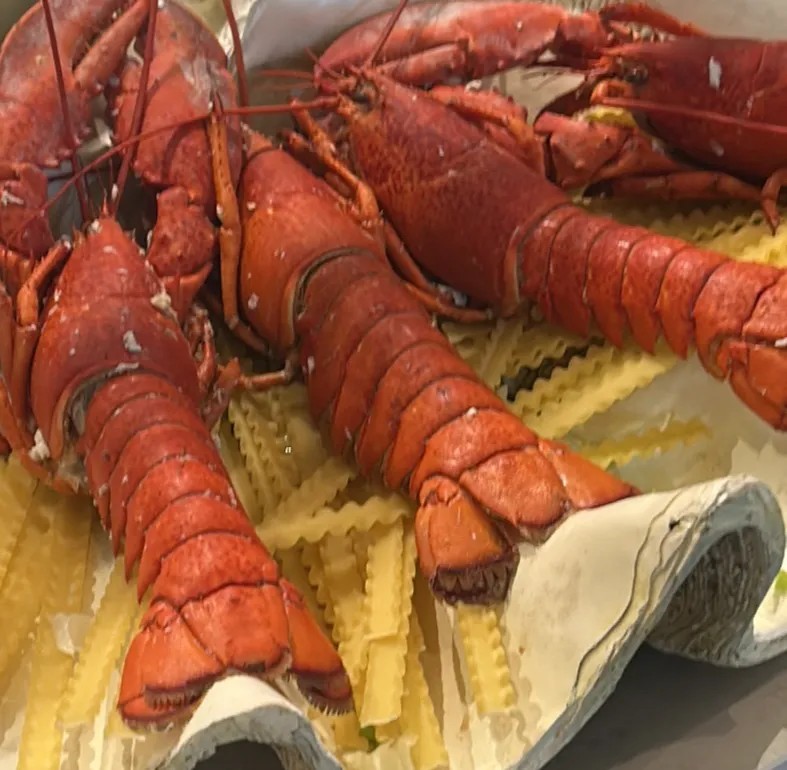 Image alt description