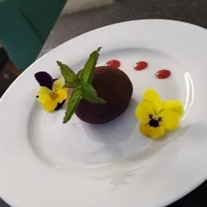 Image alt description