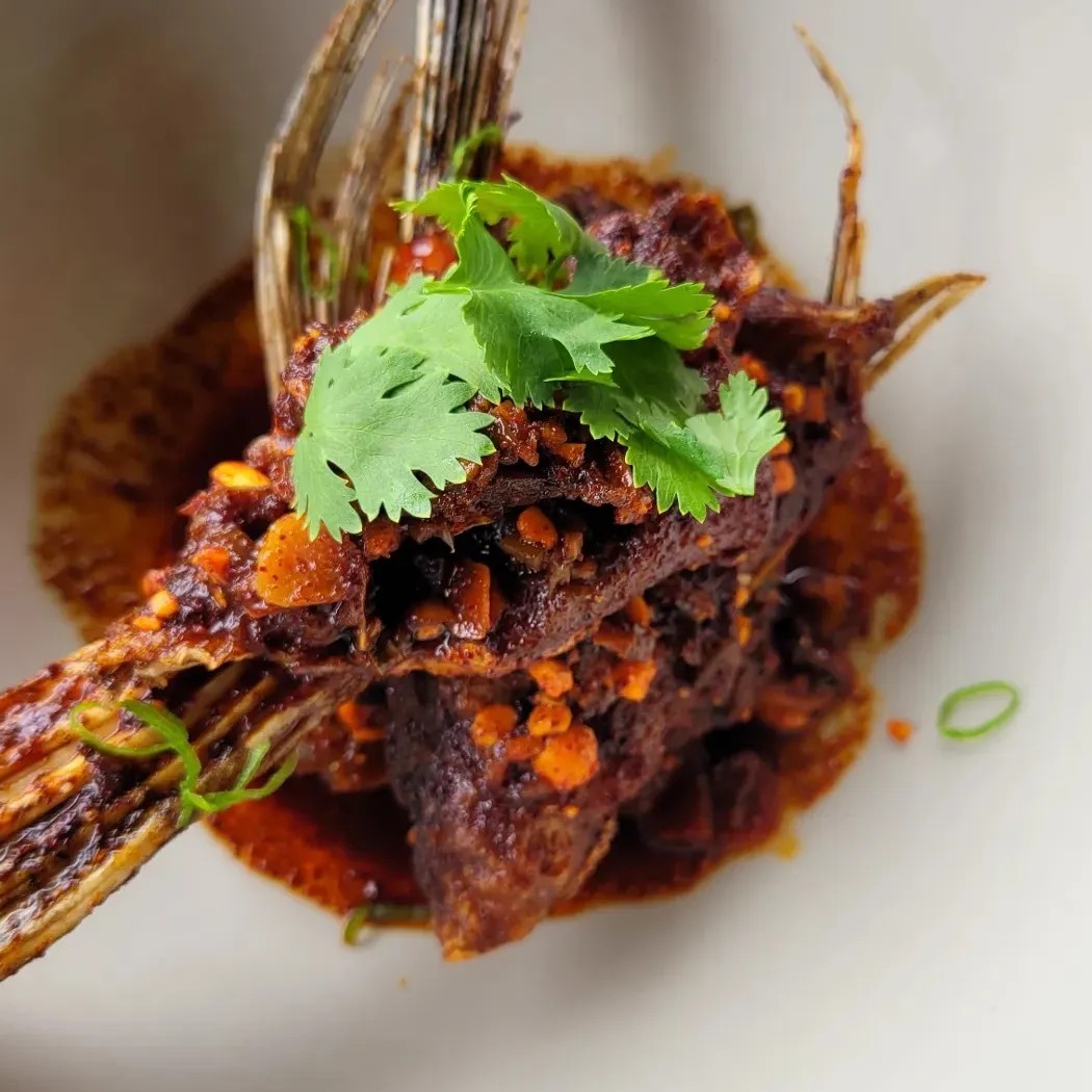 Image alt description