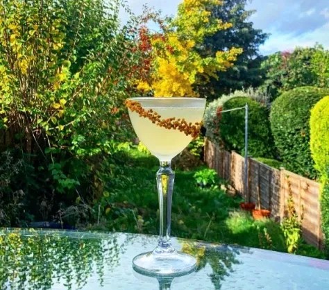 Image alt description