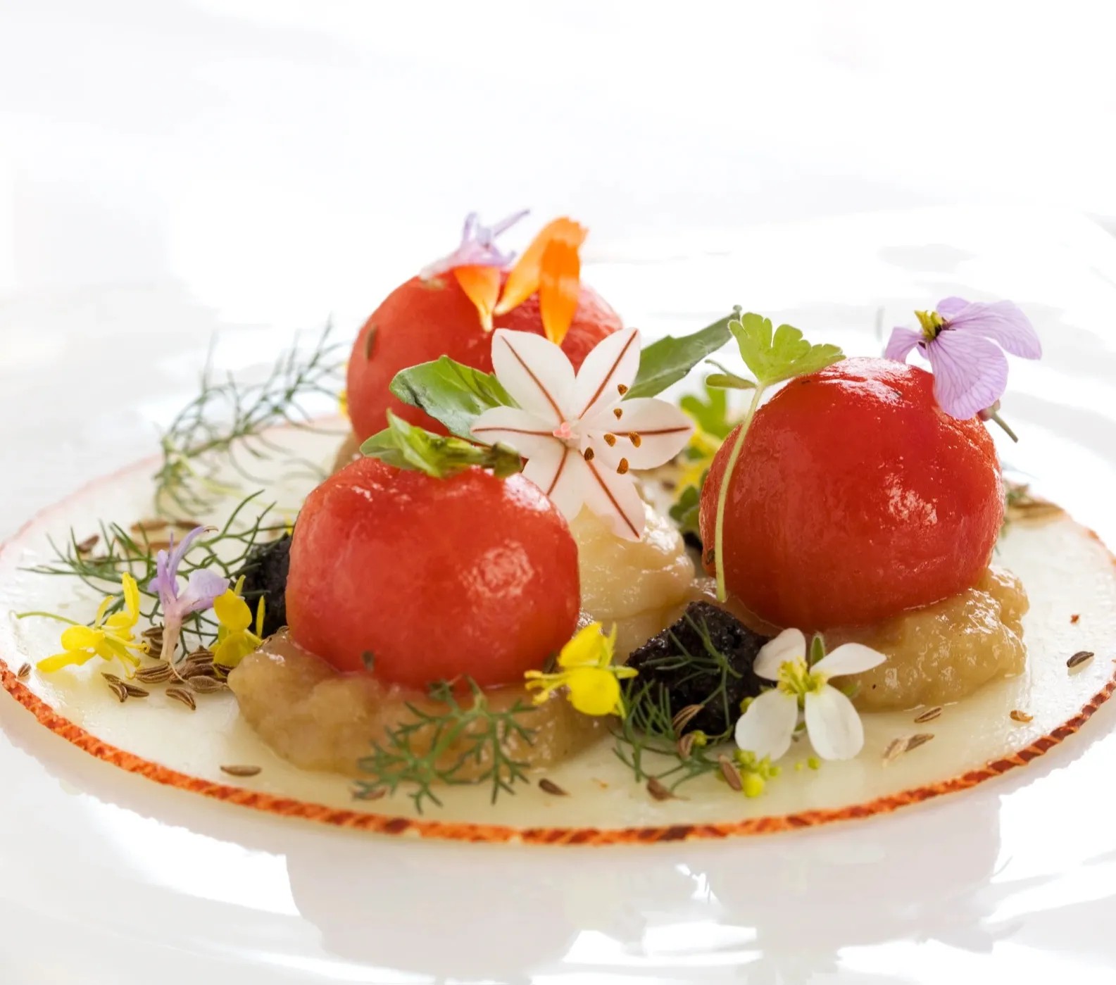 Image alt description