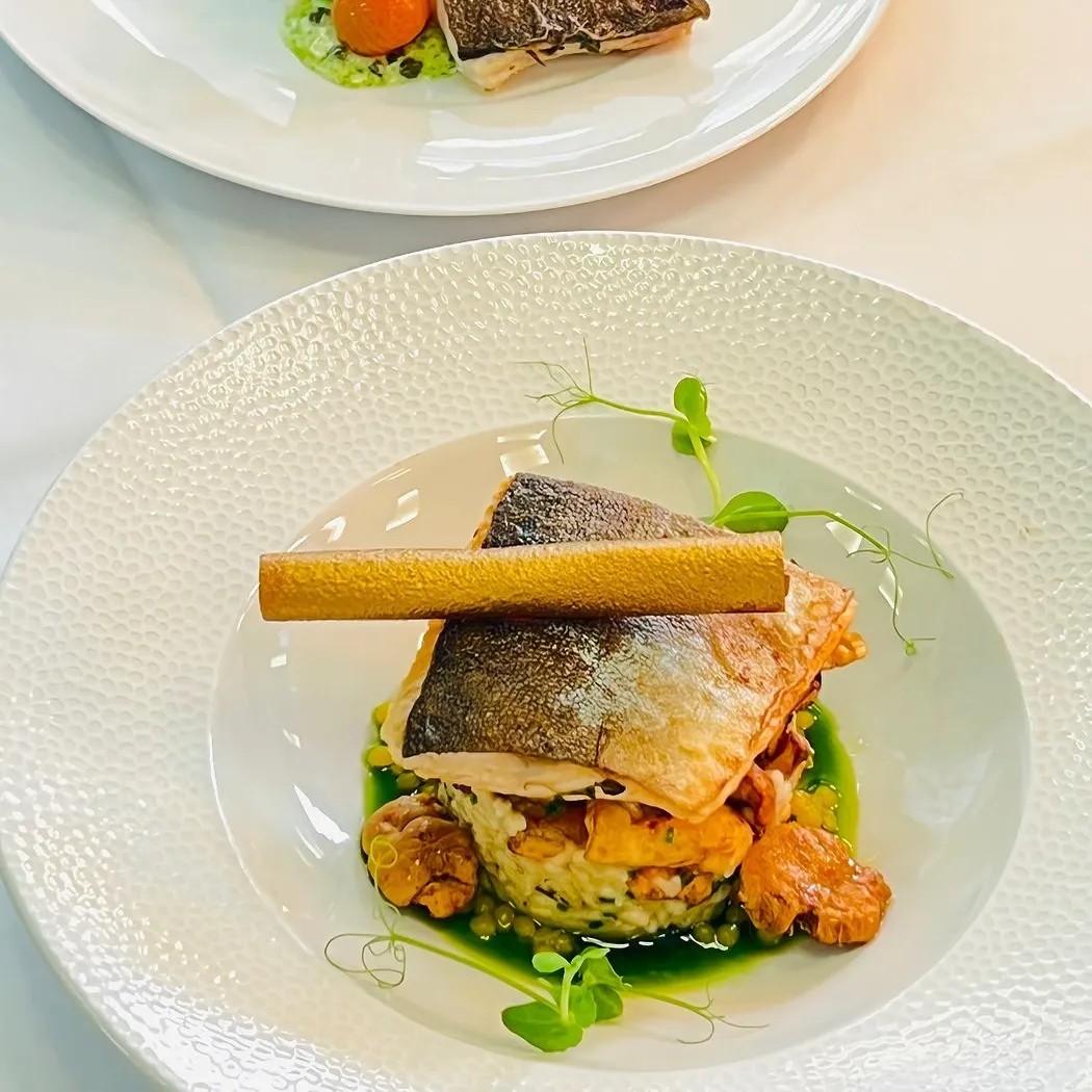 Image alt description