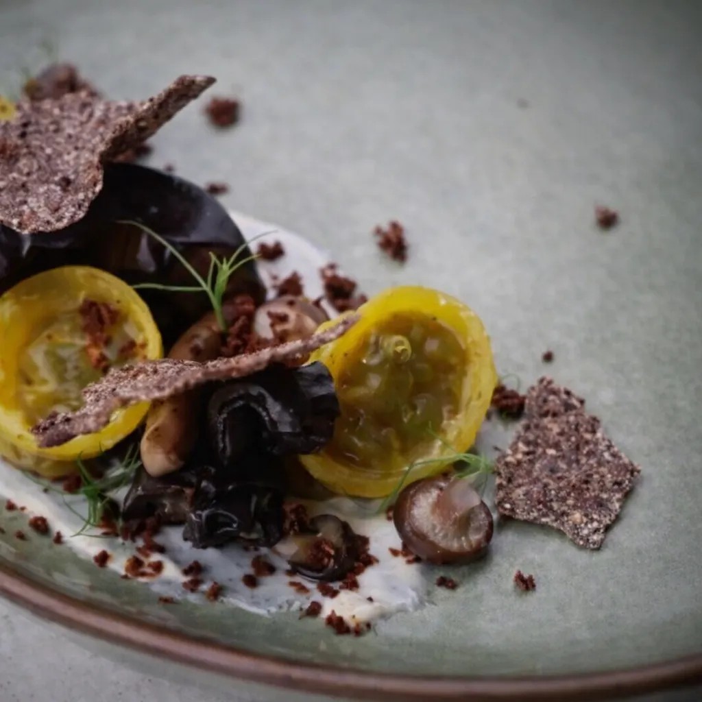 Image alt description