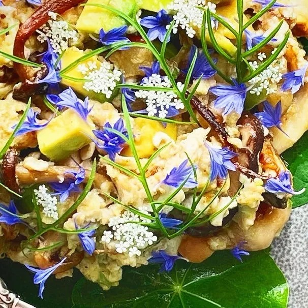 Image alt description