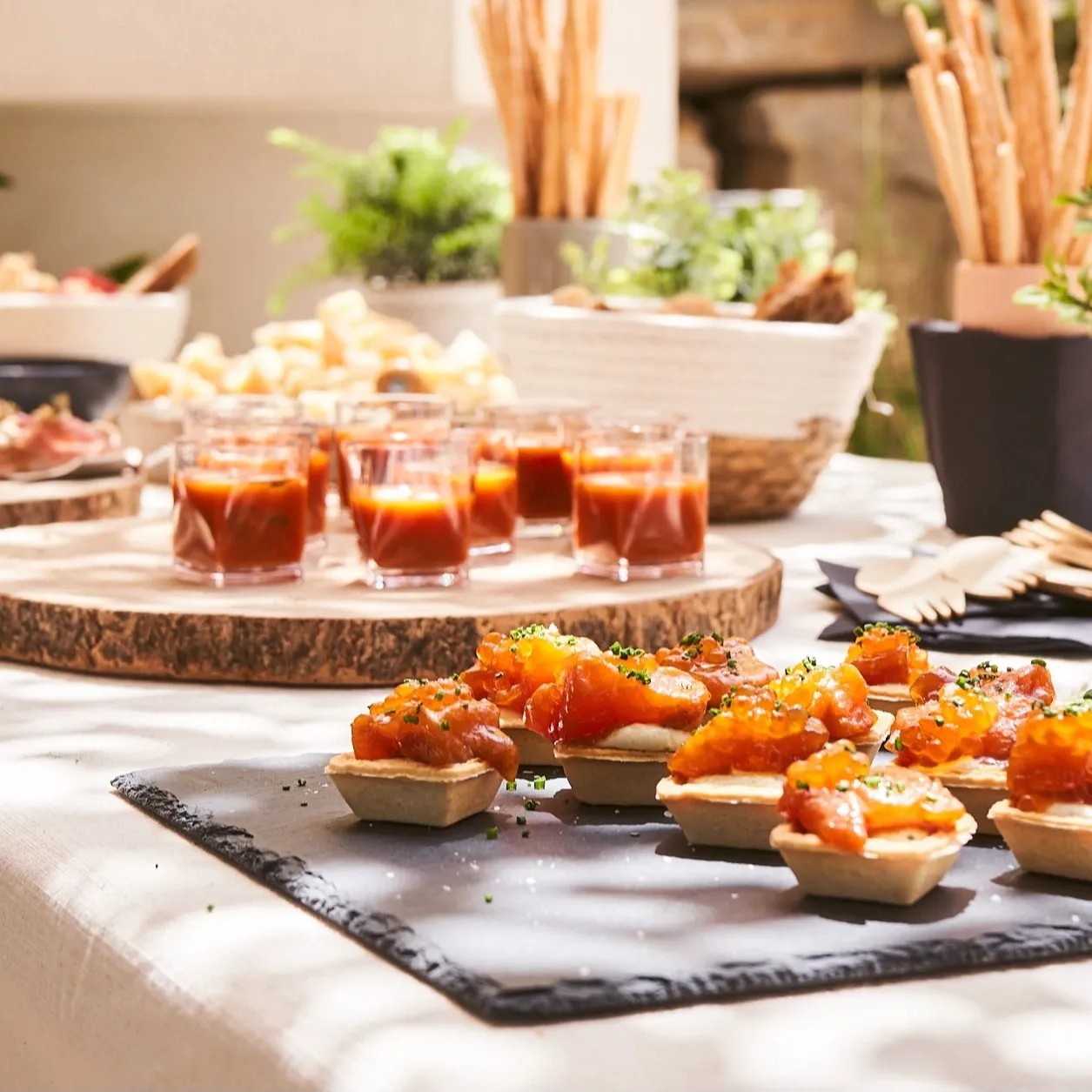 Image alt description