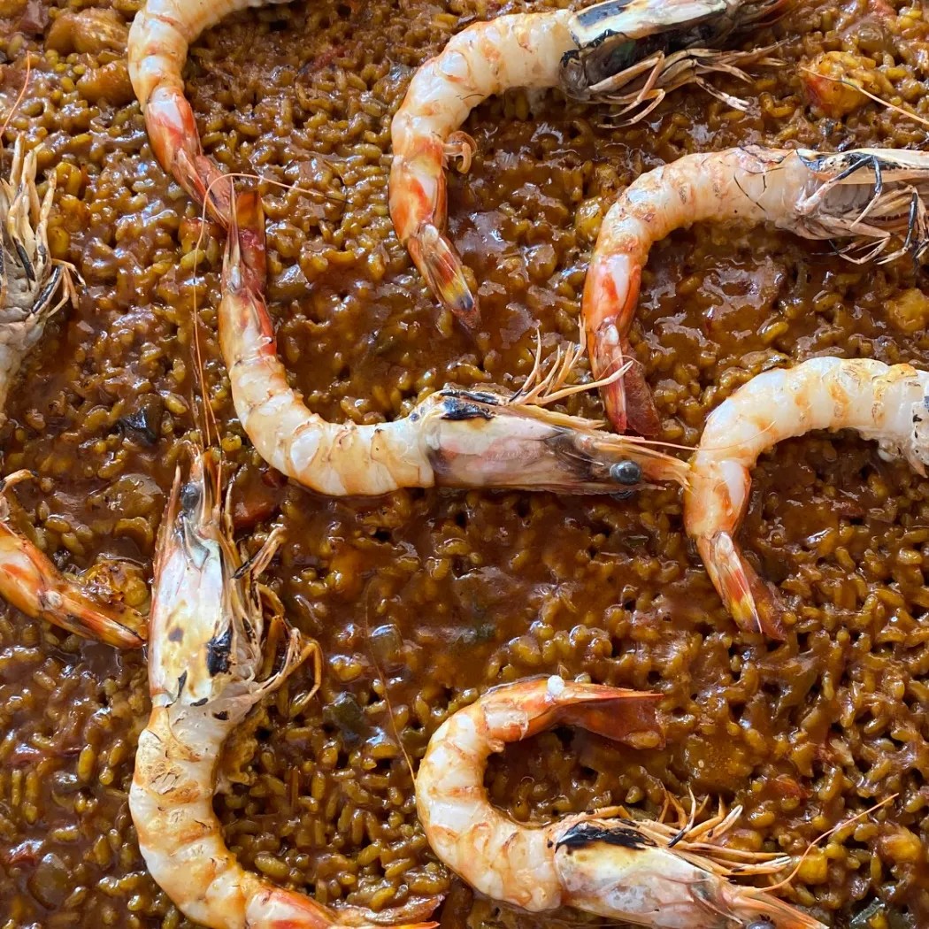 Image alt description