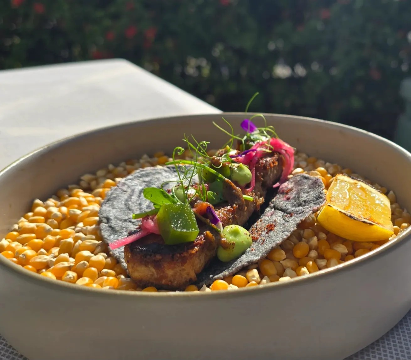 Image alt description