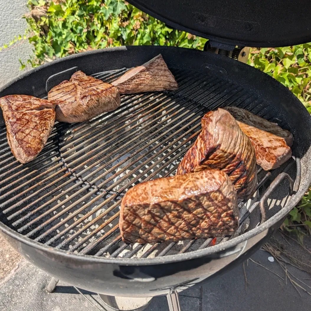 Image alt description