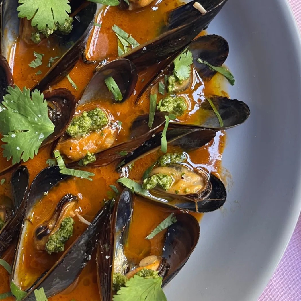 Image alt description