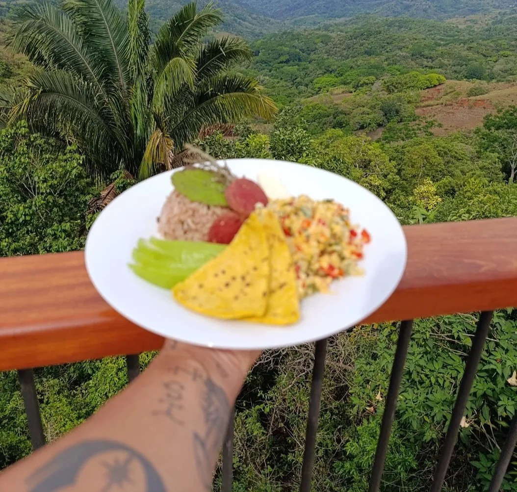 Image alt description