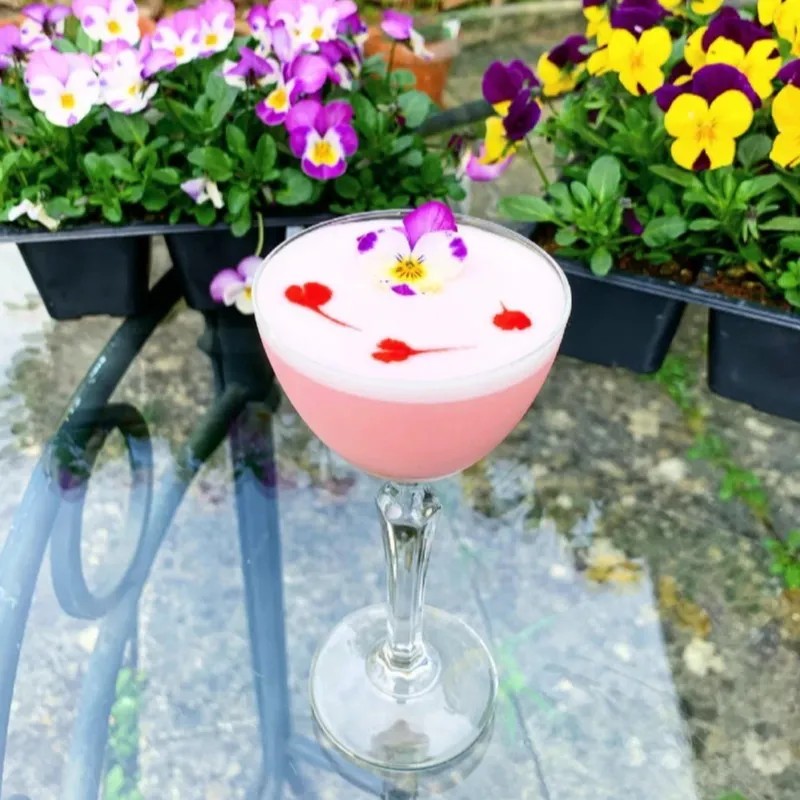 Image alt description