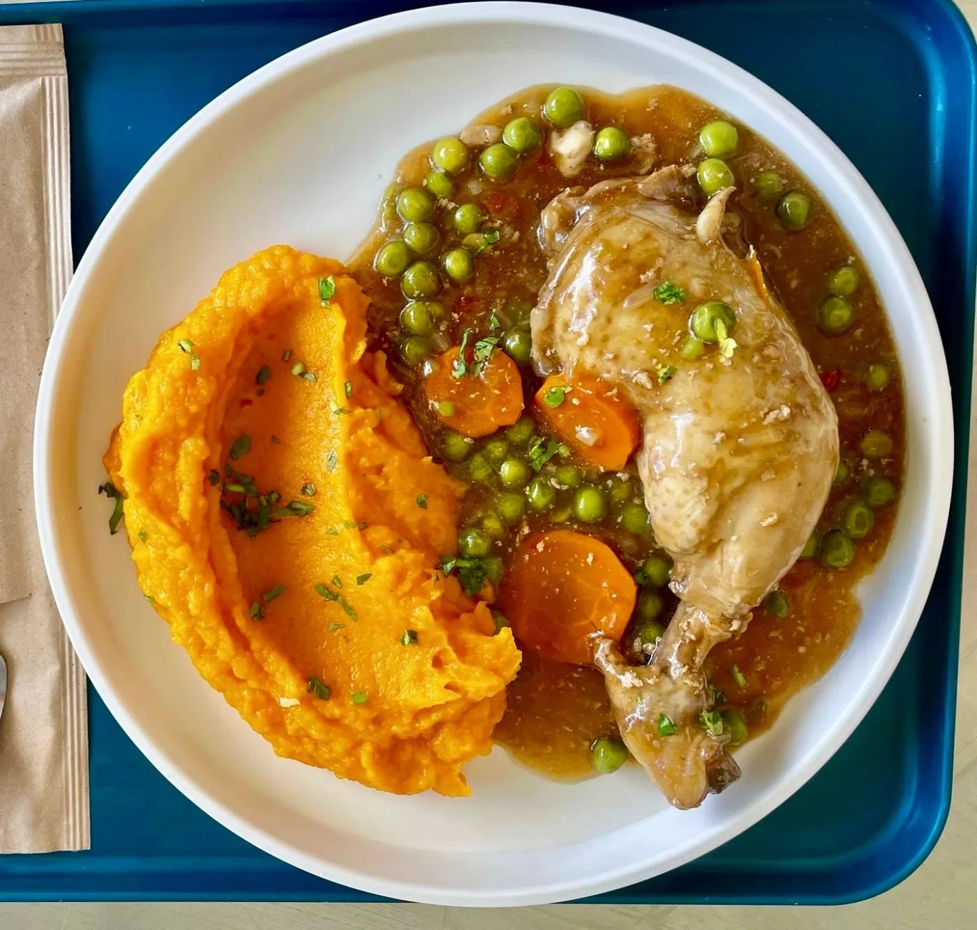 Image alt description