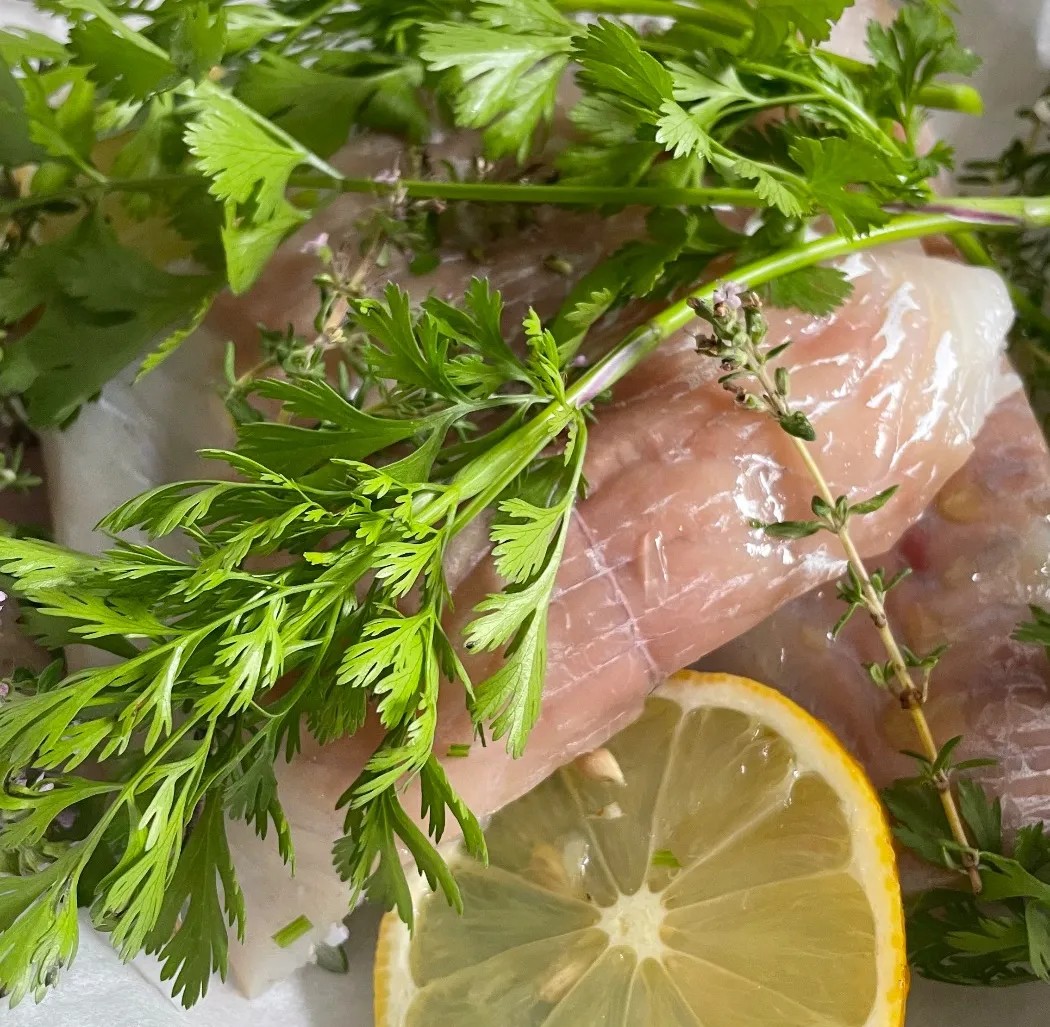 Image alt description