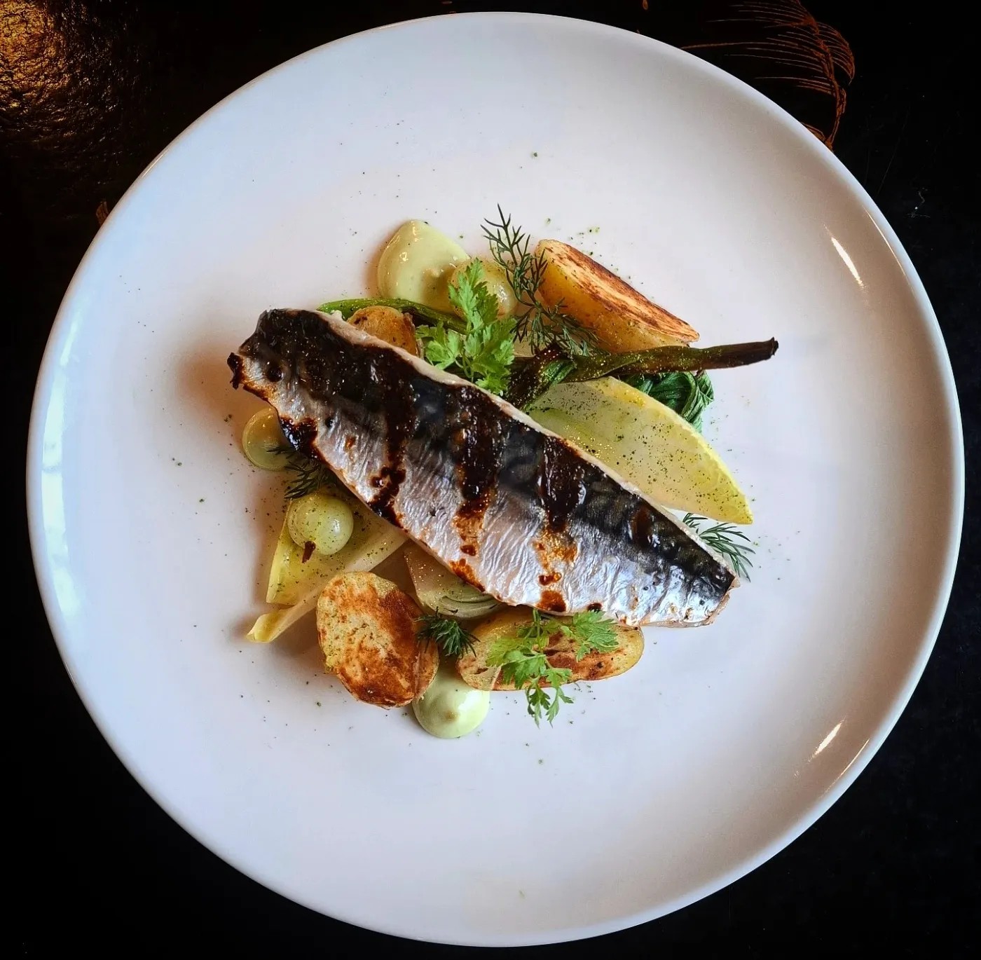 Image alt description