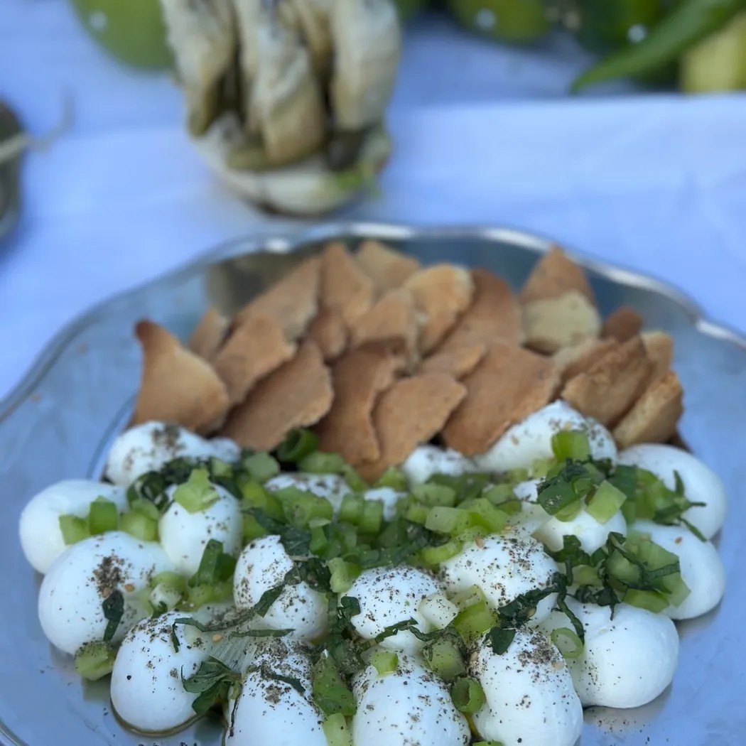 Image alt description