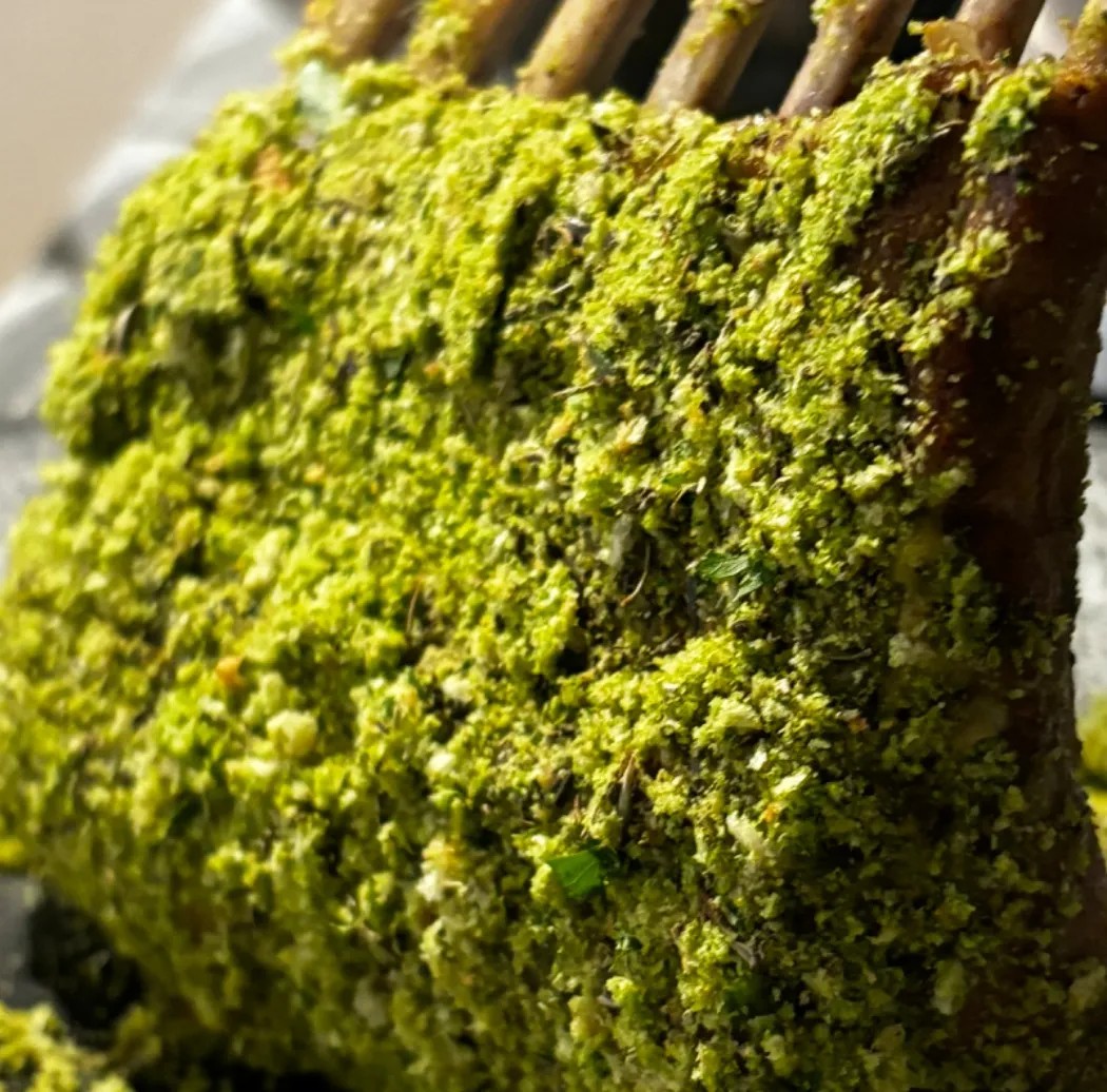 Image alt description