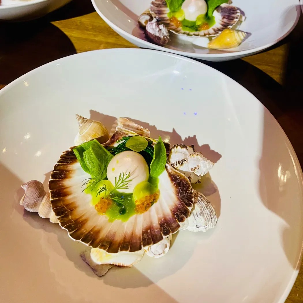 Image alt description