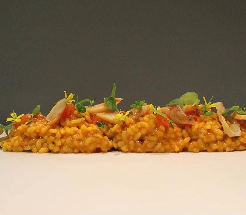 Image alt description