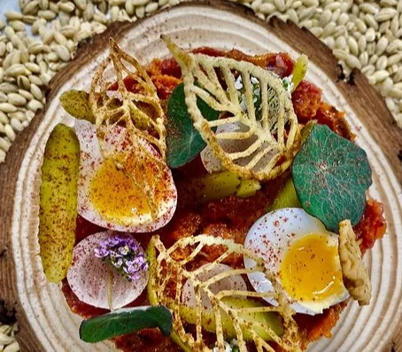 Image alt description