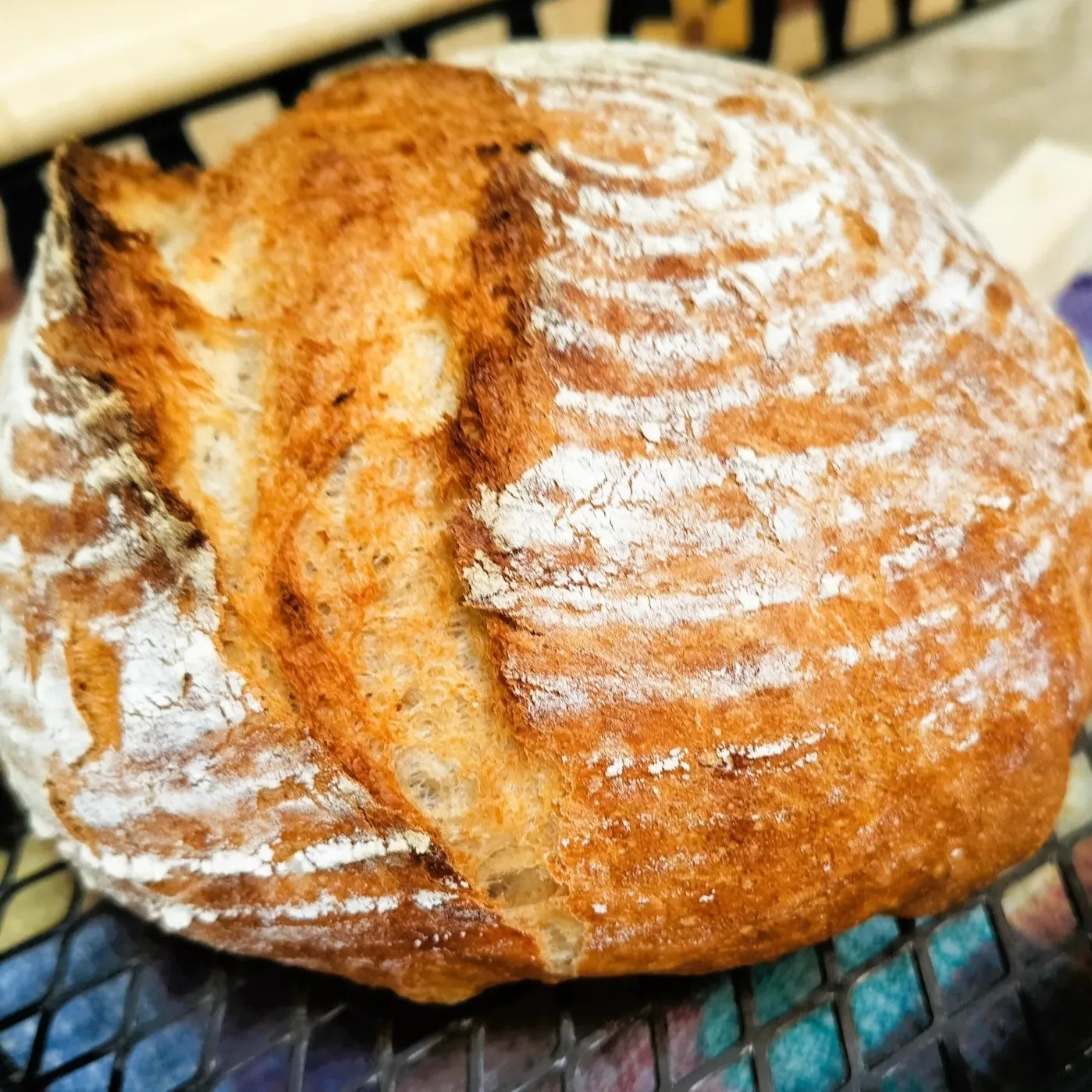 Image alt description