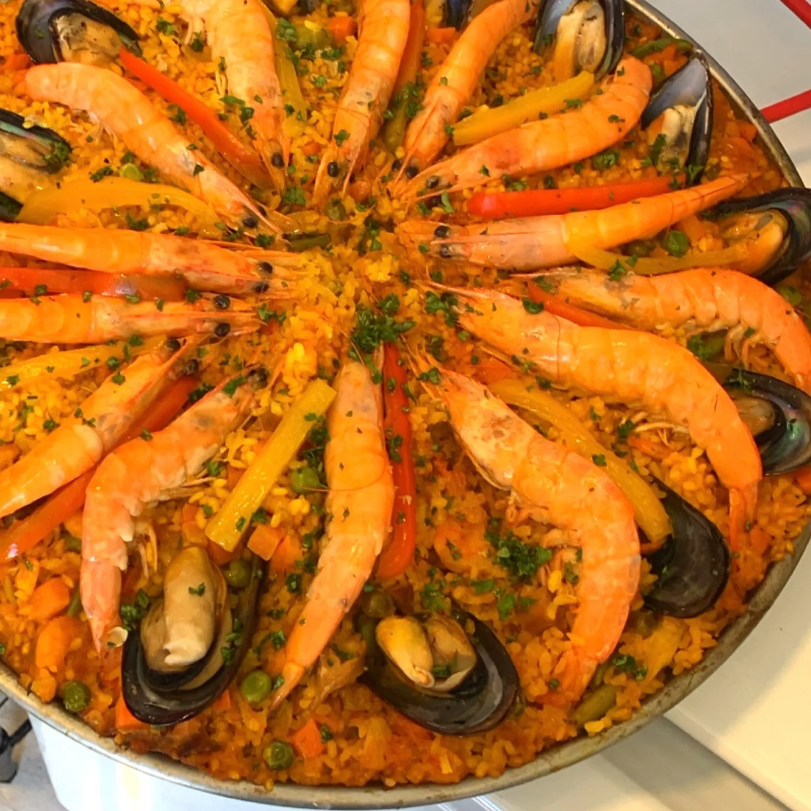 Image alt description