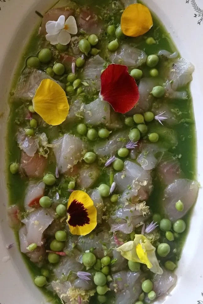 Image alt description