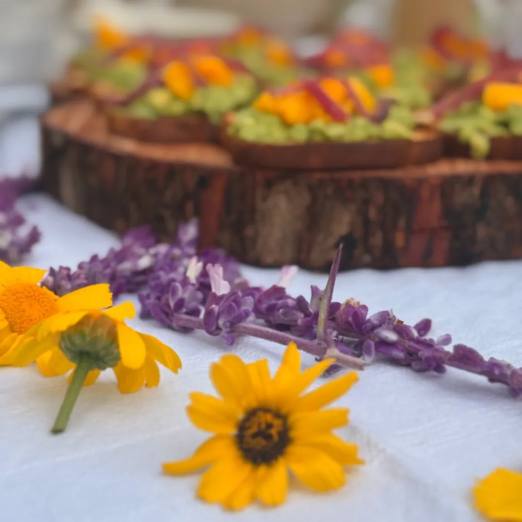 Image alt description