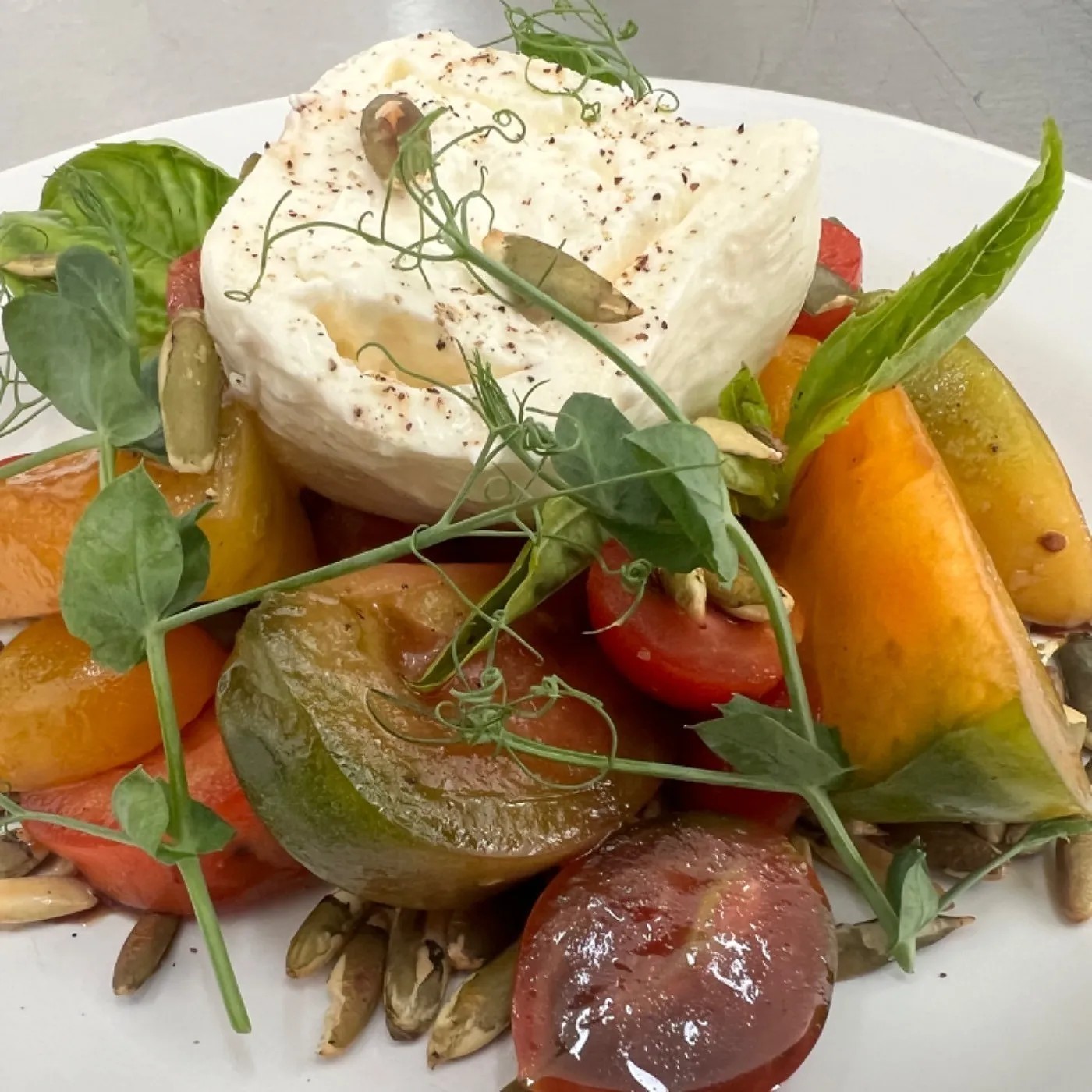 Image alt description