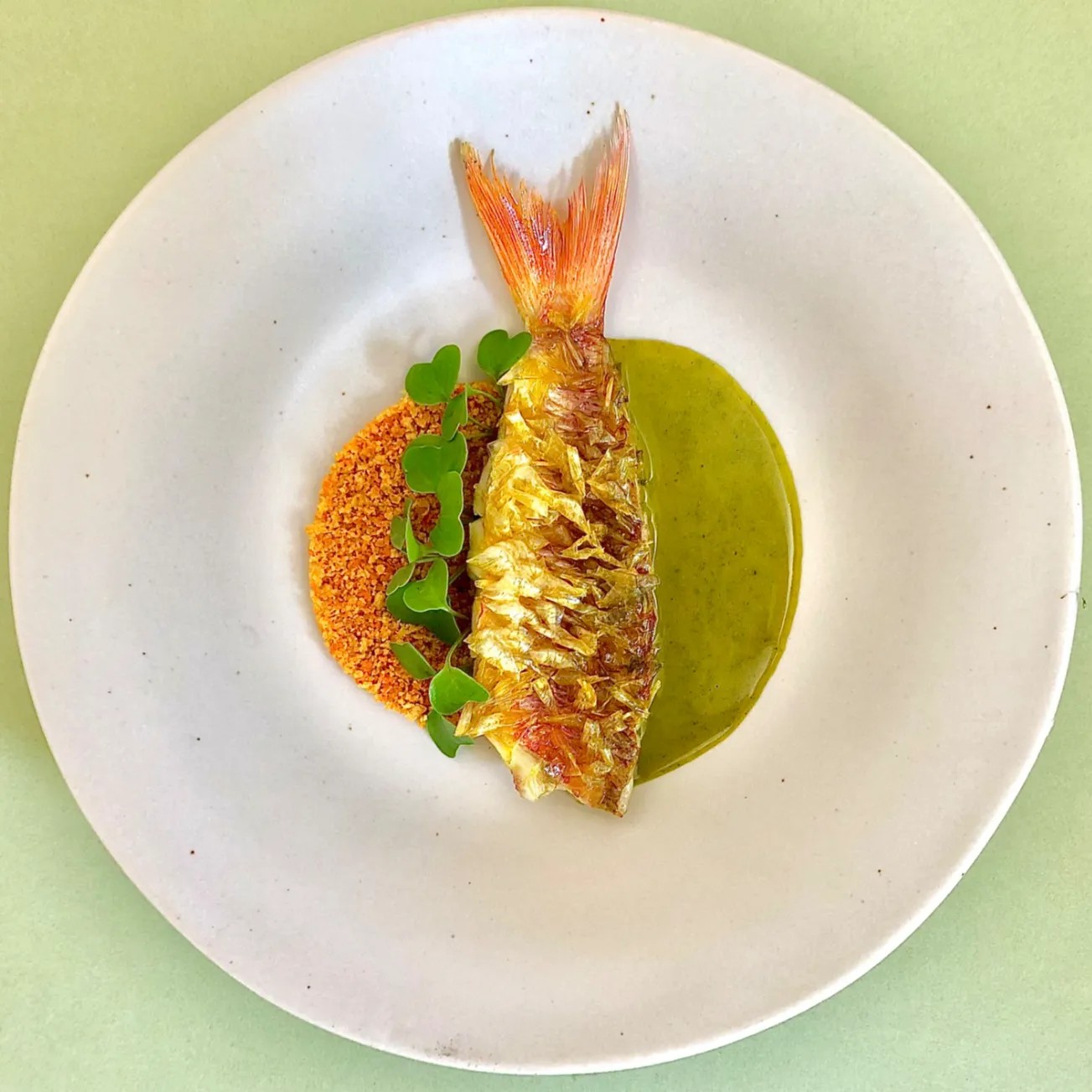 Image alt description