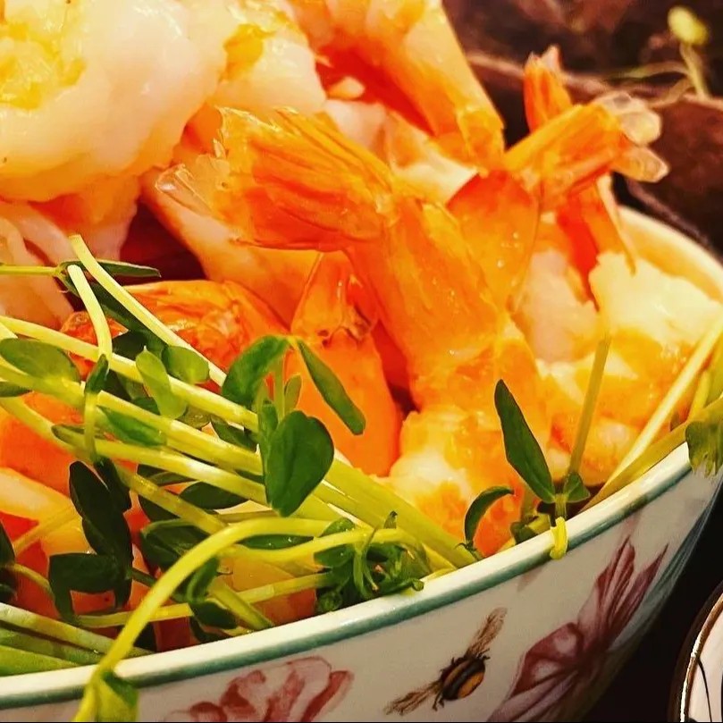 Image alt description