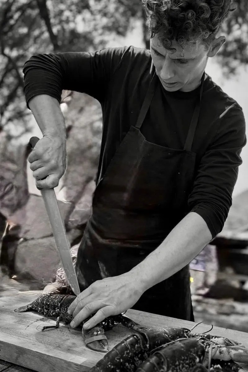 Image alt description