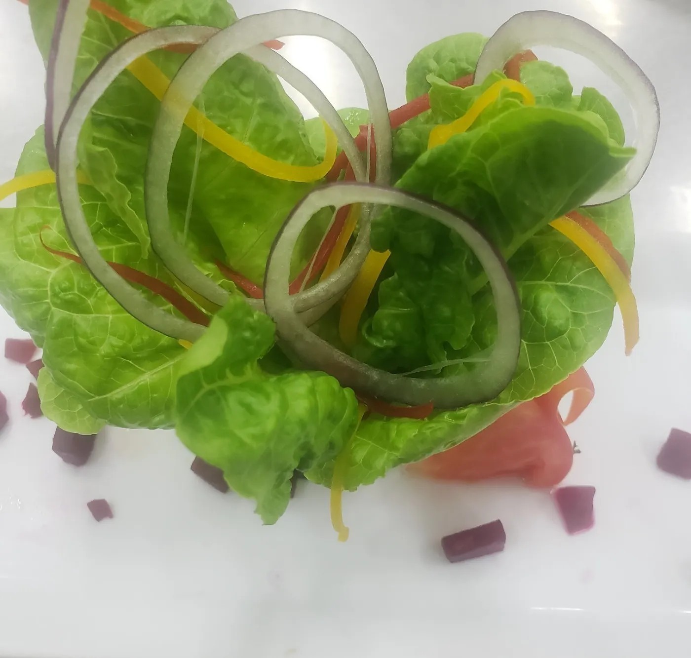 Image alt description