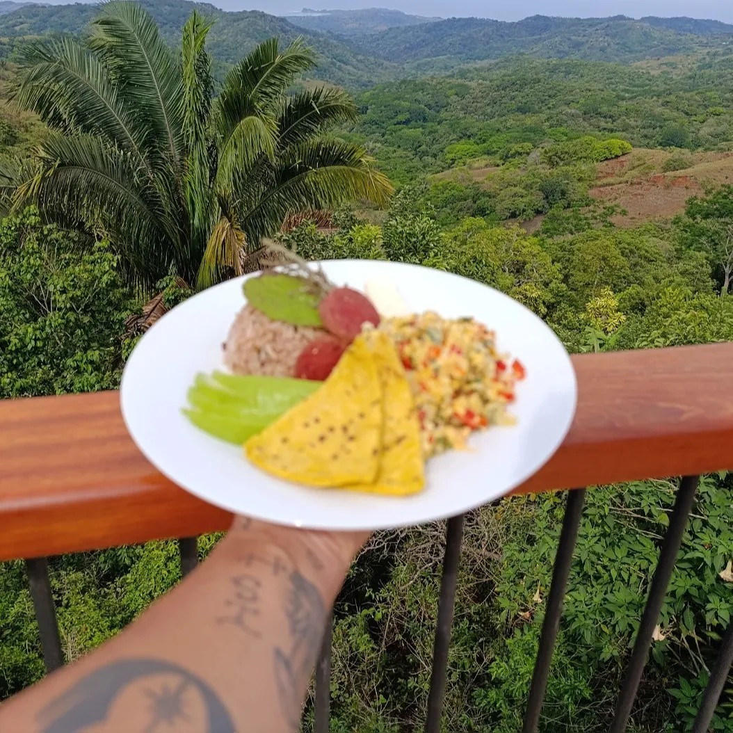 Image alt description