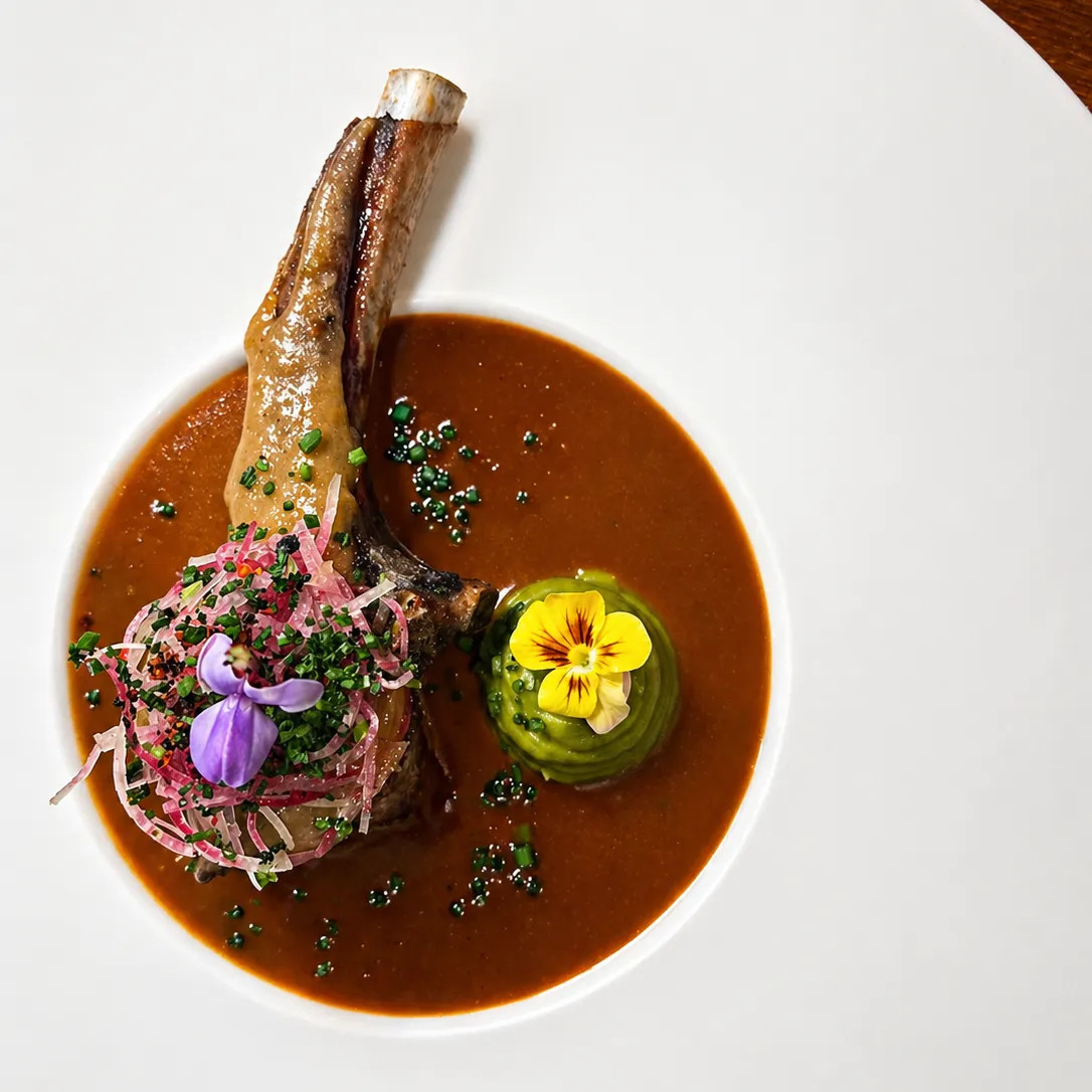 Image alt description