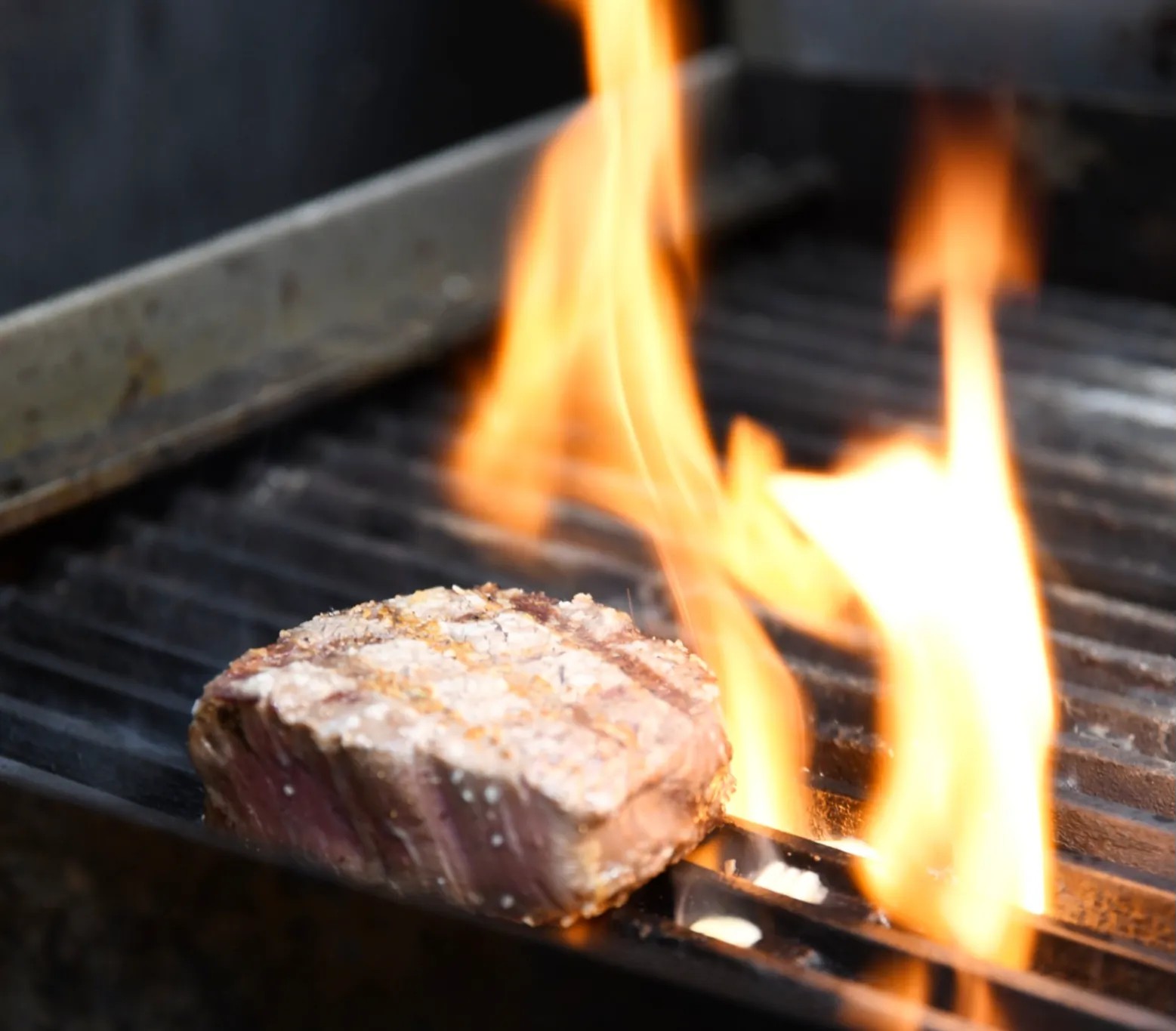 Image alt description